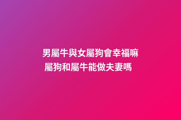 男屬牛與女屬狗會幸福嘛 屬狗和屬牛能做夫妻嗎
